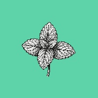Mentha Leaf Logo